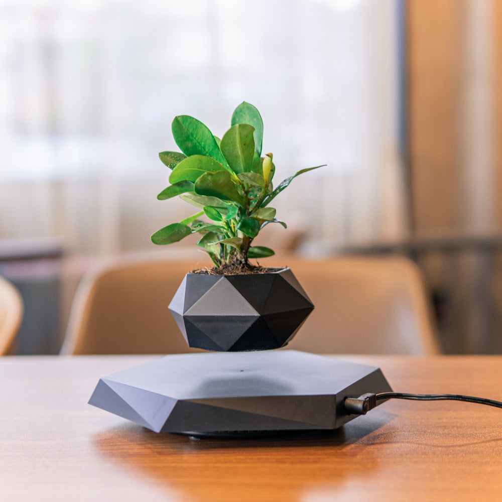 FloraLev – Magnetic Floating Planter