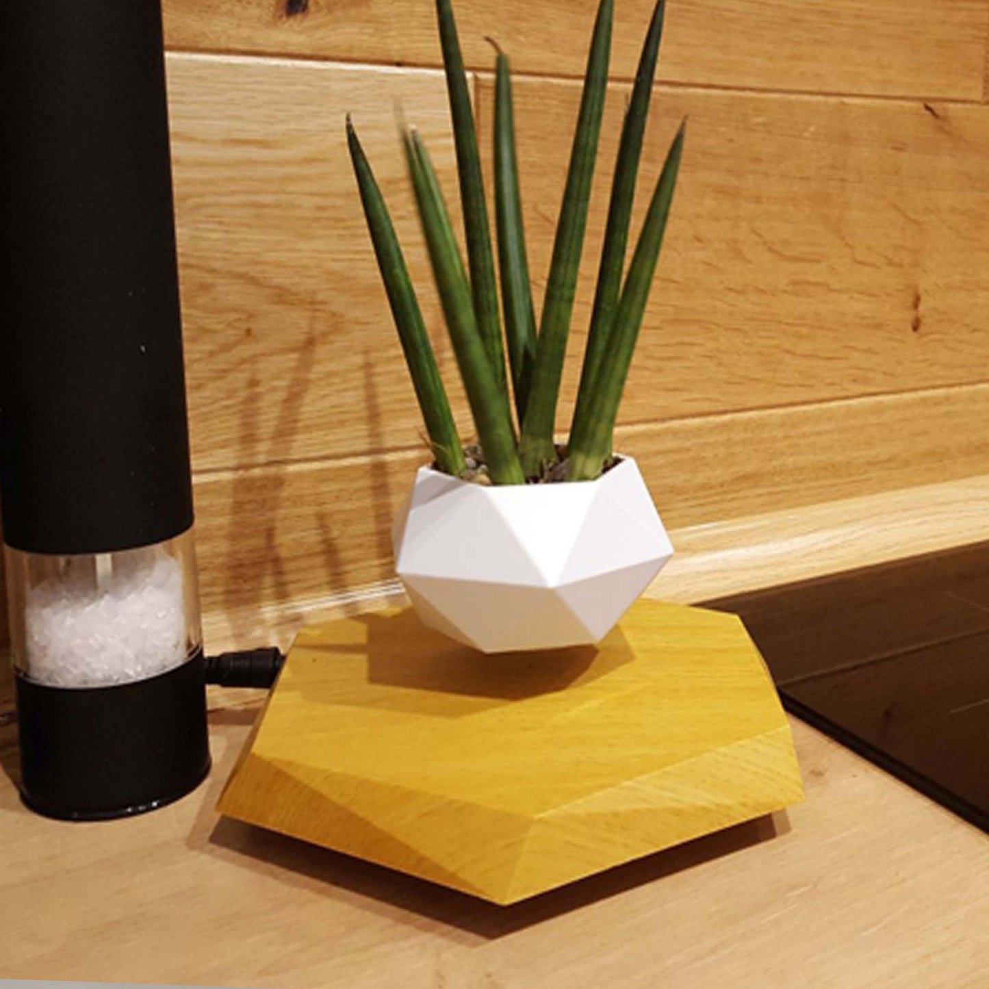 FloraLev – Magnetic Floating Planter