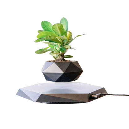 FloraLev – Magnetic Floating Planter