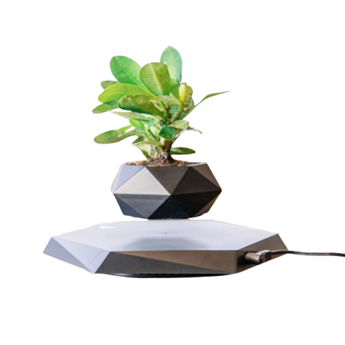 FloraLev – Magnetic Floating Planter