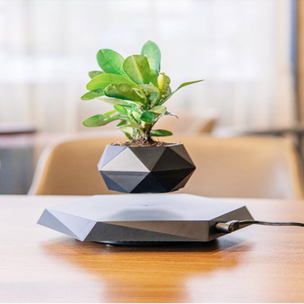 FloraLev – Magnetic Floating Planter