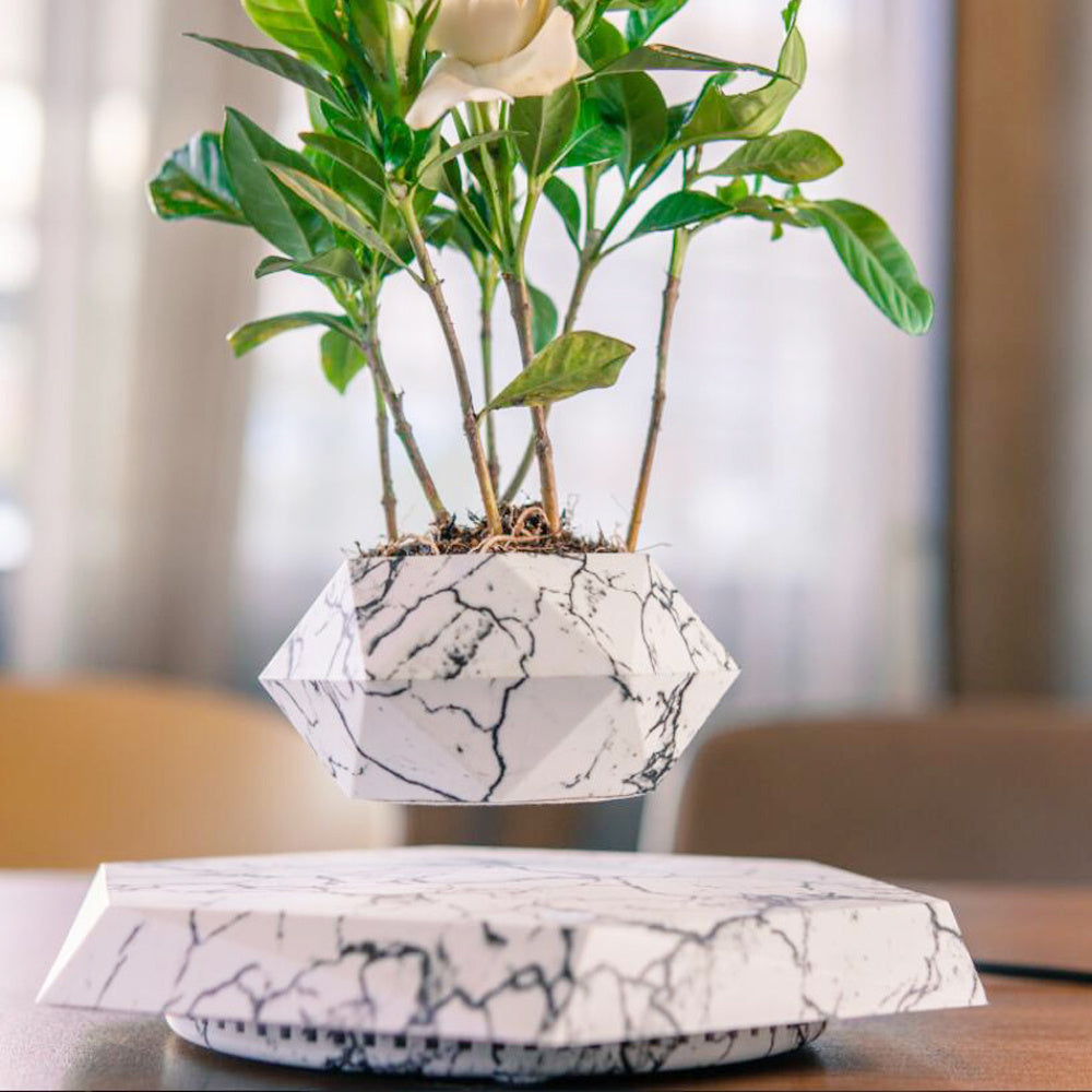 FloraLev – Magnetic Floating Planter