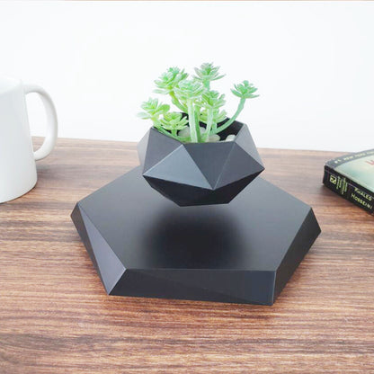 FloraLev – Magnetic Floating Planter